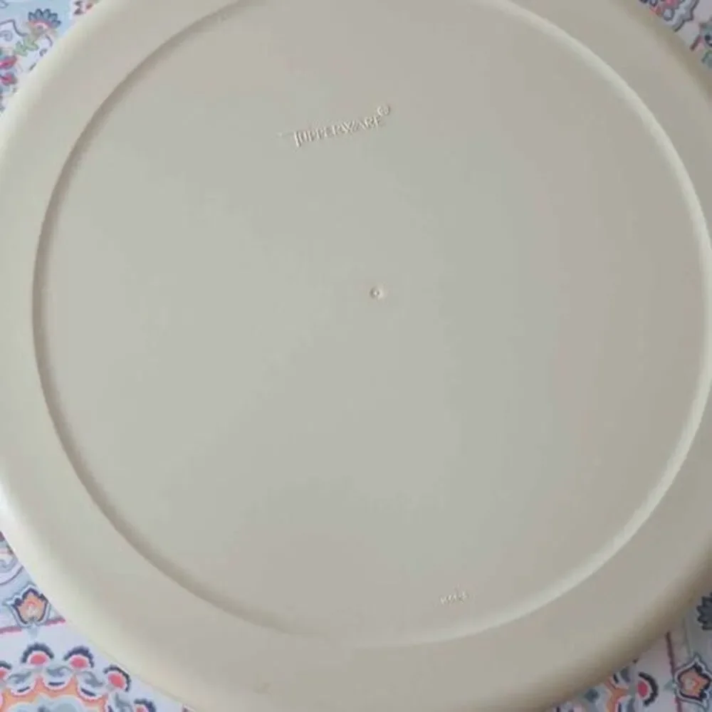 Tupperware vintage divided